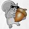 blindsquirrel